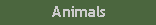Tekstvak: Animals